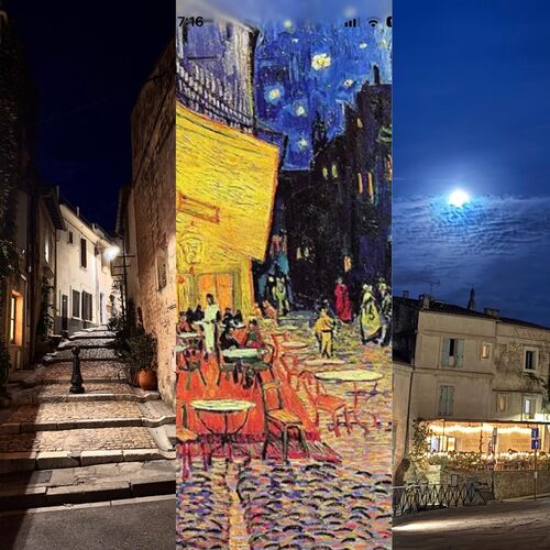 Van Gogh’s Arles. Modern light is harsher, but Rosana says she can see why he was so inspired here