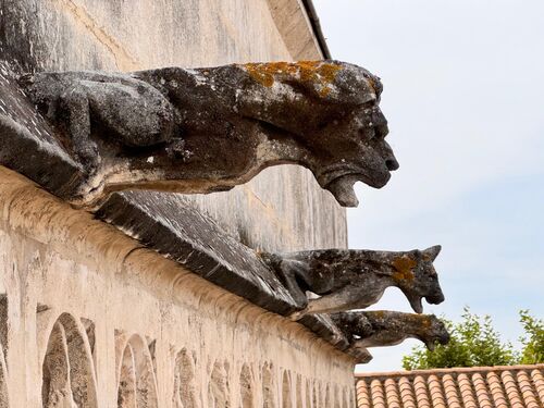 A trio of gargoyles in Arles
